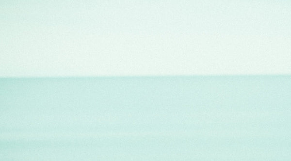 「ゆりかごからゆりかごへ」 無駄のない循環型ファッション